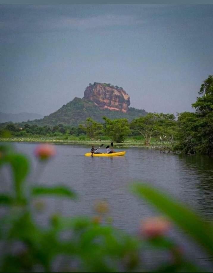 Amron Resort Sigiriya Zimmer foto
